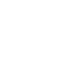 logo dunkel